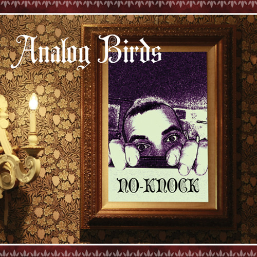 Analog Birds - "No-Knock" single