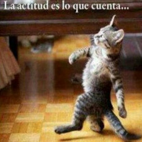 Puro San Luis Potosi