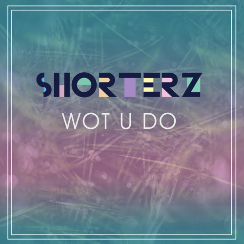 Tom Shorterz - Wot U Do (Shorterz Stop & Drop Mix)