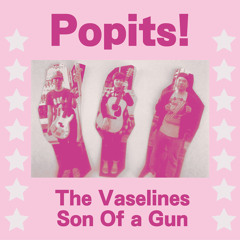 Son Of A Gun(The Vaselines Cover)