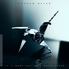 Andrew Bayer - It's Going To Be Fine