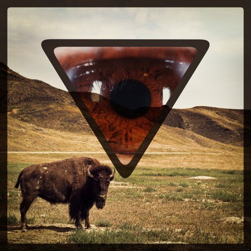 Peacocks and Periwinkle