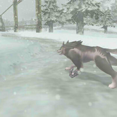 Twilight Princess - Snowpeak