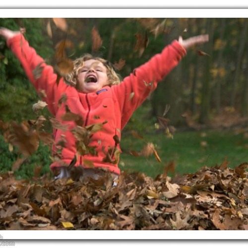 شمس النهار فرقه وسط البلد