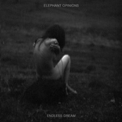 Elephant Opinions - Endless Dream