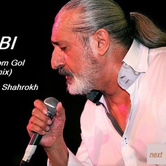 DJ Shahrokh.Mix Ebi (khanom gol)