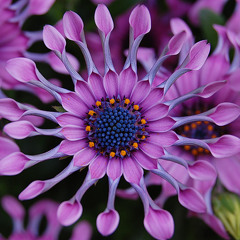 Benjamin Brighton | Carpe Diem Hvar BRAZIL TOUR ★