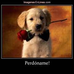 PERDONAME - RAZOR ONE FT MC JHONA & STHALER MC