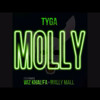 TYGA FT. WIZ KHALIFA- MOLLY (Remix)