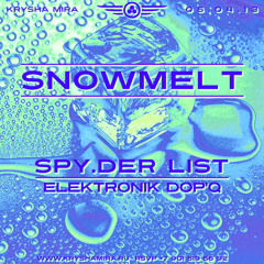 DR.SPY.DER | KRYSHA MIRA LIVE | SNOWMELT | p.2