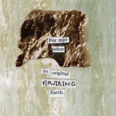 PT_003 Former Selves / The Original Flowering Earth - Split cs - Preview