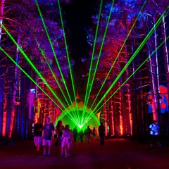 Electric Forest Vol. 1