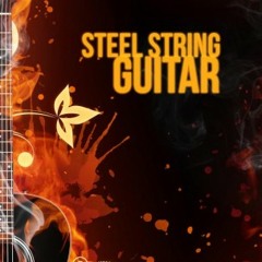 8Dio Steel String Guitar