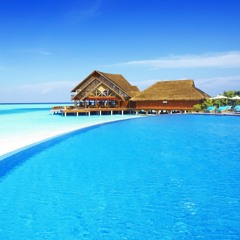 - Shoulda  ♥ . . . .