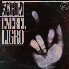 Zarim ft. Ligro