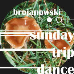 Brojanowski - sunday trip dance