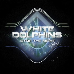 WHITE DOLPHINS feat. Dj Party-Zan - Big Stone Bag