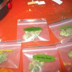 Beats for Bars