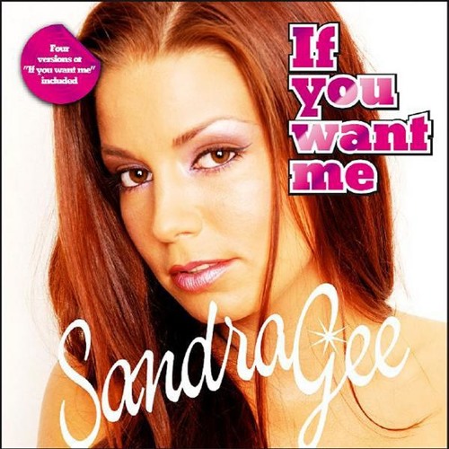 Sandra Gee - If You Want Me (T-M-S meets Bassraizer Bootleg)