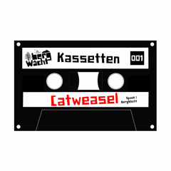 BergWacht Kassetten 001 - Catweasel - April 2013