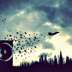 Tribe [Playlist 1]
