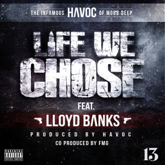 Havoc - Life We Chose