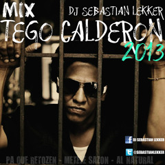 Mix Tego Calderon 2013 - Dj Sebastian Lekker