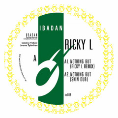 "nothing but" *****L remix (excerpt)