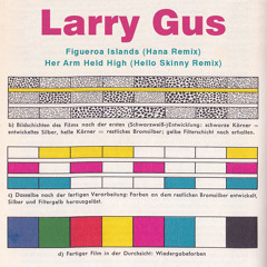 Larry Gus - Figueroa Islands (Hana Remix)