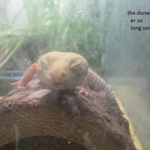 Long Song - from Er So