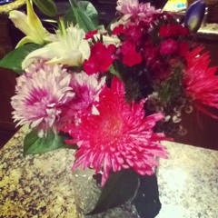 I Just Threw Out The Love of My Dreams (Weezer cover)