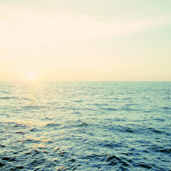 Deep Blue Sea Grizzly Bear Cover