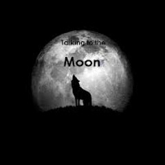 MR.TRIP 2013 -TALKING TO THE MOON-gwen stephany rmx :-)no master (prova)