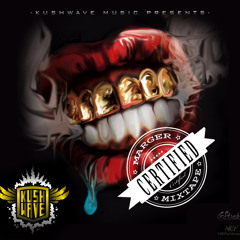 Marger - Rock Scars 2009 Prod by Rick Boss ( clip )