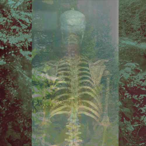 Sobrenadar - Unravel (Bjork)