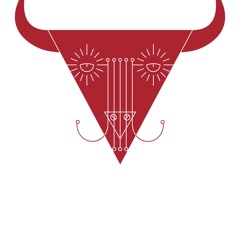 Bizon Viki - VRH remix