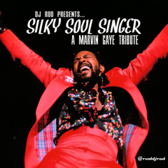 SILKY SOUL SINGER: A Marvin Gaye tribute