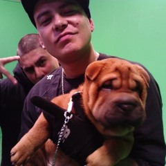 S.Y.r.A.e ft nocivo-Accros Doner Mc-The shet is