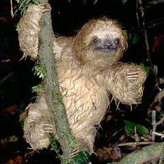 Reprieve (PhDeems Dub Mix)