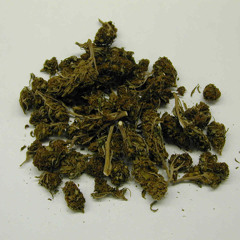 ☁☥☪mid_EV!L☪☥☁