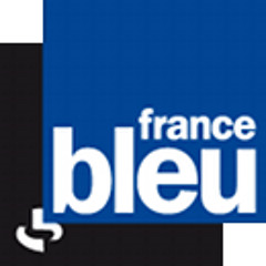 FrancebleuOrleans-poleemploi