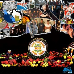 Sgt. Pepper's lonely hearts club band (The Beatles)