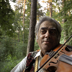 Ion Paladi "Лист зелёный,спелый, -клён...Дня четыре,как влюблён...Потерял покой и сон...