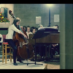 Concerto, Alan Ridout - Double Bass