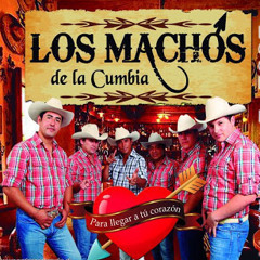Los Machos De La Cumbia - Megamix (Produce Ck DeeJay) Con Cuña