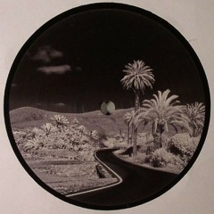 Guy Gerber - Steady feat. Jaw (Speaking Minds remix)