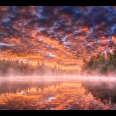 Roebuck Liquid DnB Artist-Mix