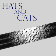 Hats and Cats