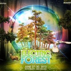 Electric Forest - 2013 Artist Showcase
