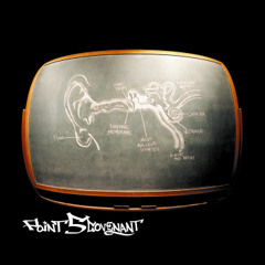 Listen. Learn. | Point 5 Covenant